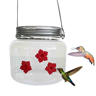 Shirem Mason Jar Hummingbird Feeder